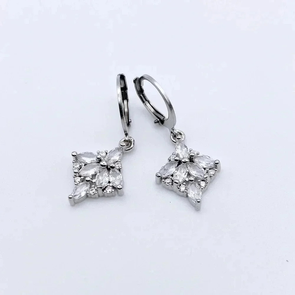 Silver Hoops Earrings